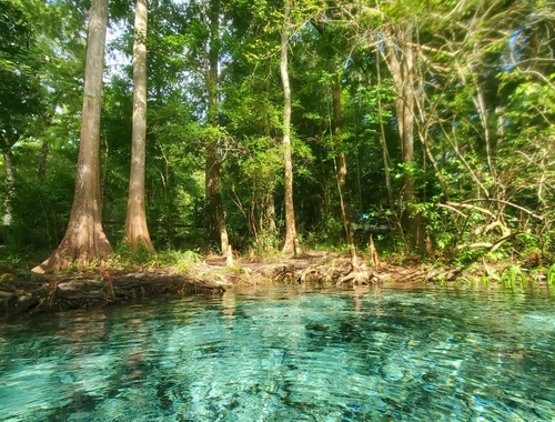 Relocating to Florida? Here's Your Financial & Life Roadmap