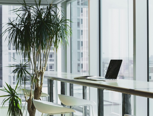 Portfolio Management
