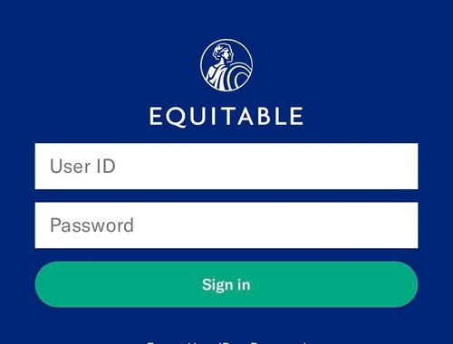 Online Account Access