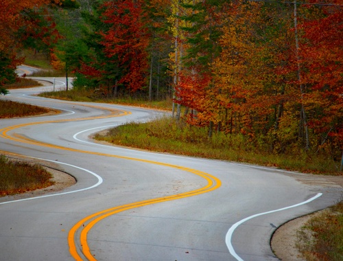 The BenchMark Process: A Living Roadmap