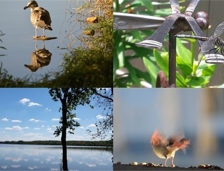 Jamie Paske: Photographer