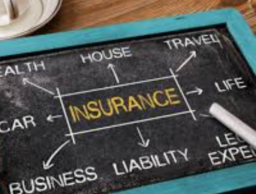 Insurance & Reviews