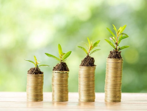 Investment Management Fees