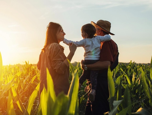 Individuals &<br/>Families