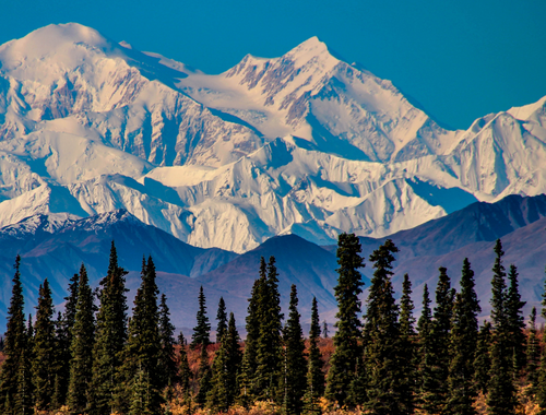 Alaskan Trip Highlights