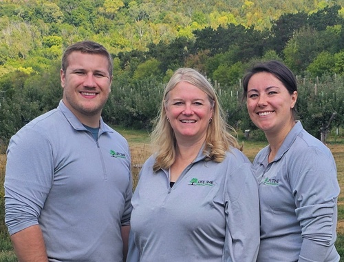 Laying the Foundation