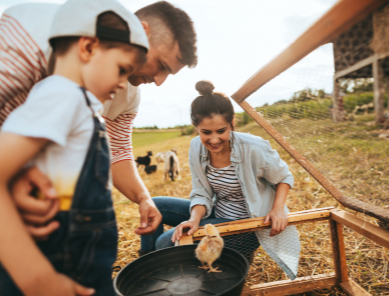 supporting poultry families from hatch to retirement