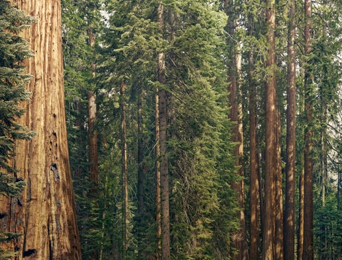 Integrated Operations