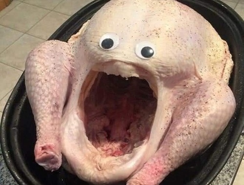        HAPPY THANKSGIVING!