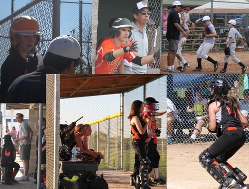 Youth Baseball and Softball Coach