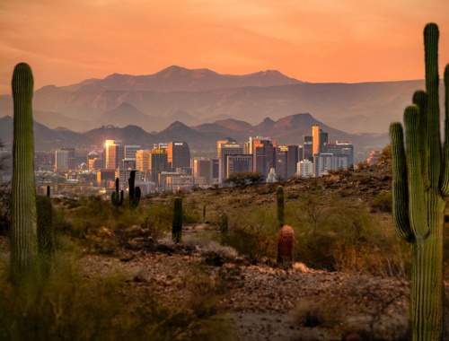 Phoenix