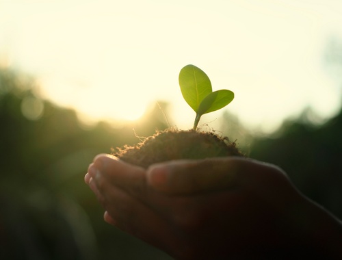An Integrated Team That Puts You and Your Family First