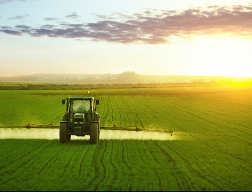 Farming/Estate Strategies