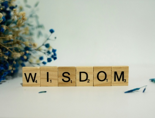 Wisdom Before Products