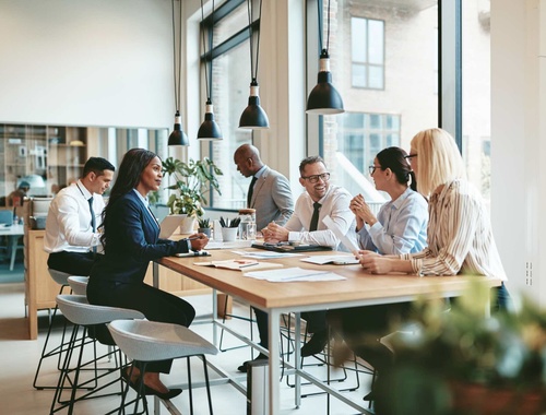 Employer-Sponsored Retirement Plans