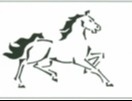 Whitehorse Capital Management, LLC