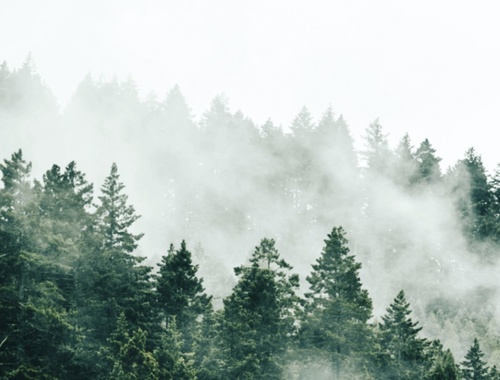 How to Be Happy When Life Doesn't Go as Planned