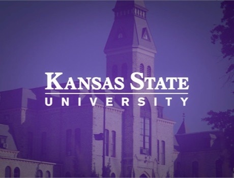 Closing the Gap: The Prosperity Advisors KSU Scholarship