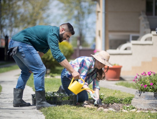 Rooted In Respect Our Core Values | Ethics, Integrity & Client-First Service | EIG