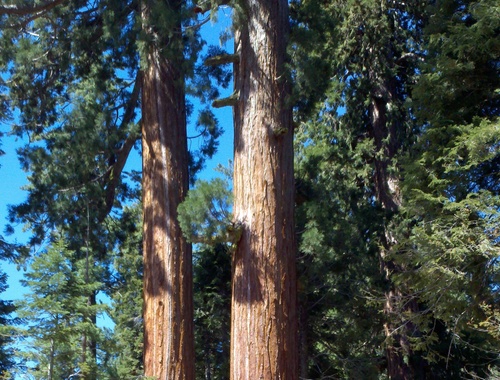 I’m growing my wealth, but...