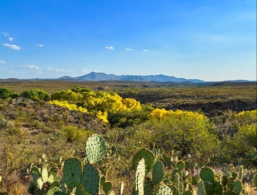 Cottonwood, Arizona