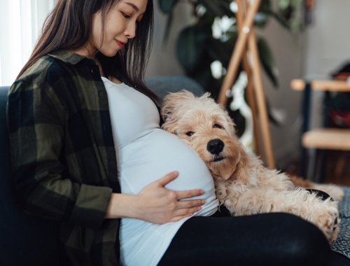 Preparing for New Child