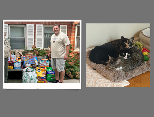 Supporting our pets!