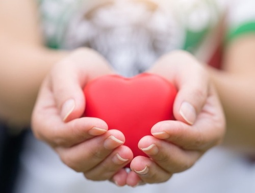 Charitable Giving/ Legacy Planning