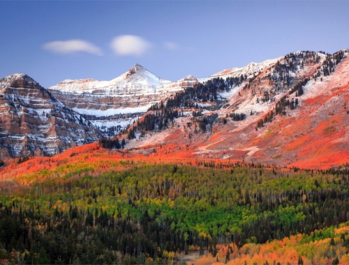 Fall – Preparing for transition<br/>