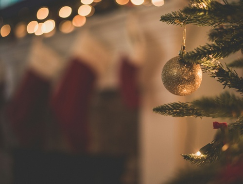 December 2024 Newsletter | Still time to make 2024 contributions!