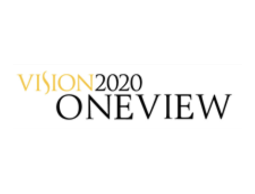 OneView Consolidated Statement