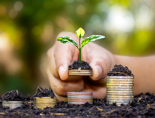 What Is a Retirement Strategy?