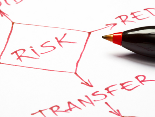 Risk Tolerance & Downside Protection