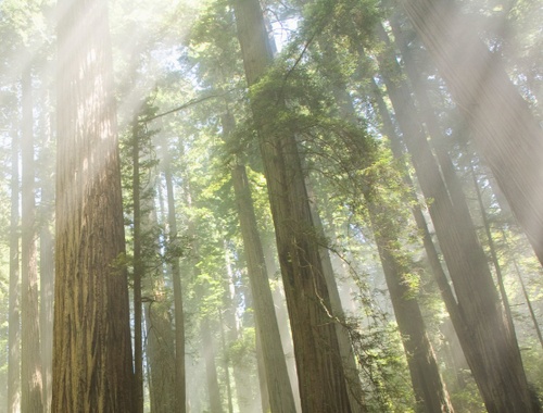 AQI Factor Equity Model Update<br/>Q3 2025