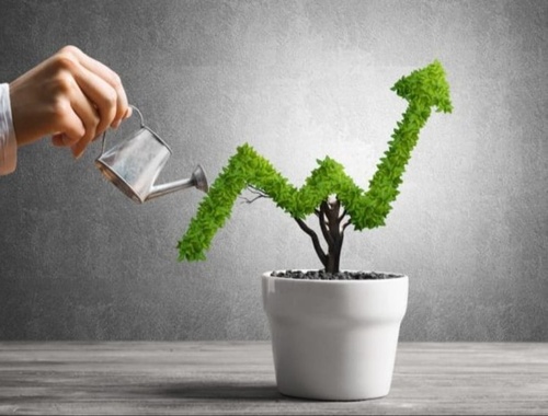 What investment strategies do Georgia high net worth clients use?
