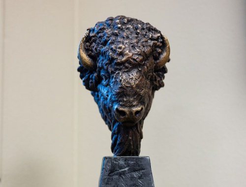Buffaloes stand strong.