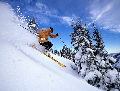 Navigating the Business Slopes
