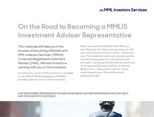 On the Road to Becoming a MMLIS IAR