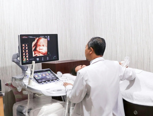 Embryo Adoption