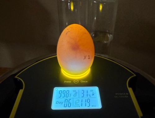 Thursday, April 17, 2025