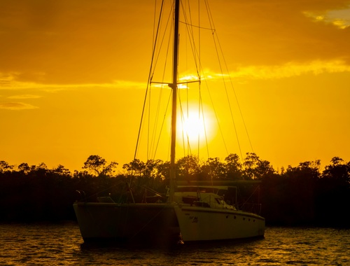 What is Sudden Wealth Syndrome (SWS)?