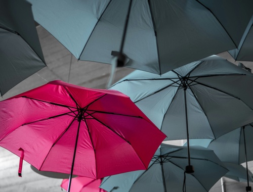 Umbrella Liability & Uninsured Motorist Coverage<br/>