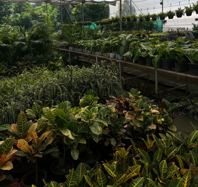 Other Related Activities