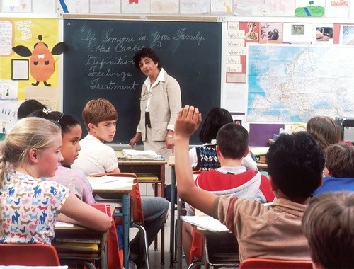 Teachers / Professors