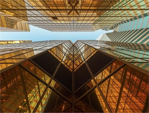Perspective