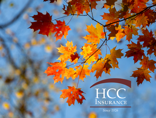 Stay Cozy and Secure: A Homeowner's Guide to Winter Preparedness and Fall Clean-Up<div class="c-post-details"><div class="c-post-author"><br/></div></div>