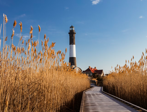 Discover Helpful Articles Designed To Keep You Informed On What Matters Most. 