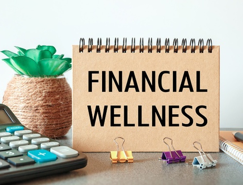 5 Pillars of Financial Wellness
