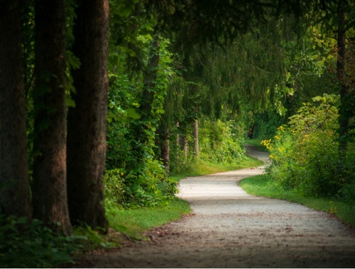 Find Your Path to Success