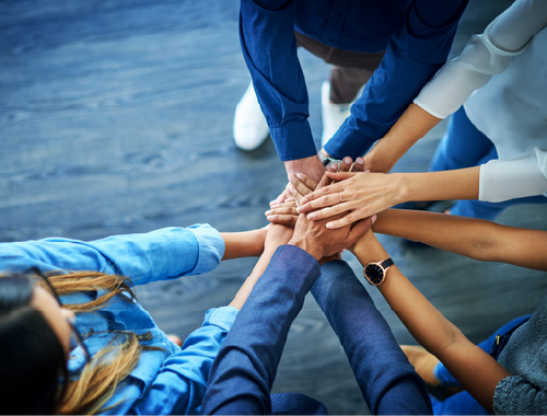 Dedicated Advisor & Support Team